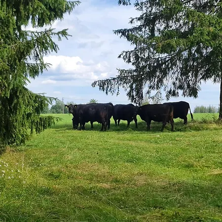 Taipaleen Luomutila Petäjävesi