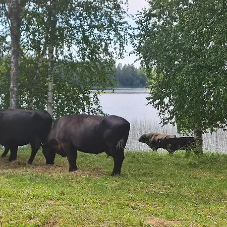 Lantgård Taipaleen Luomutila